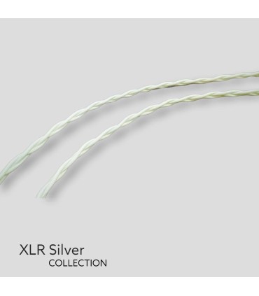 Reference XLR Silver